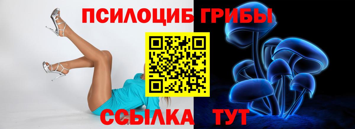 Вологда  Галлюциногенные грибы MAGIC MUSHROOMS  Псилоцибиновые грибы Psilocybe  Вход с VPN 